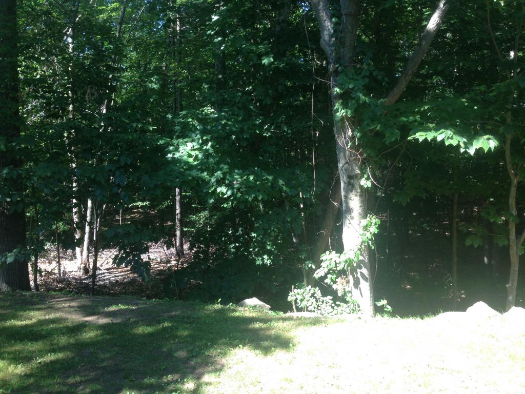 17 Lynnewood Road Laconia, NH 03246 - Photo 32 of 38