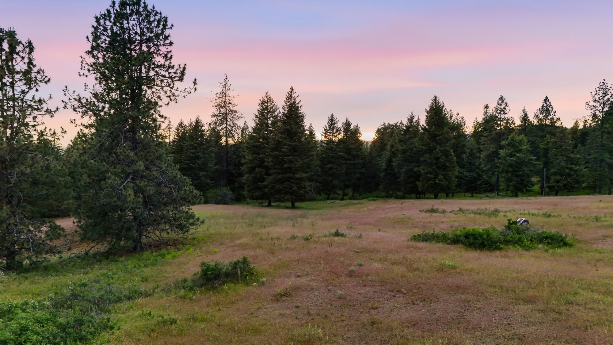 682 Henry Road Elk, WA 99009 - Photo 7 of 21