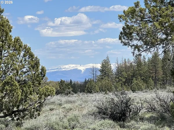 a view of a dry yard with wooden fence