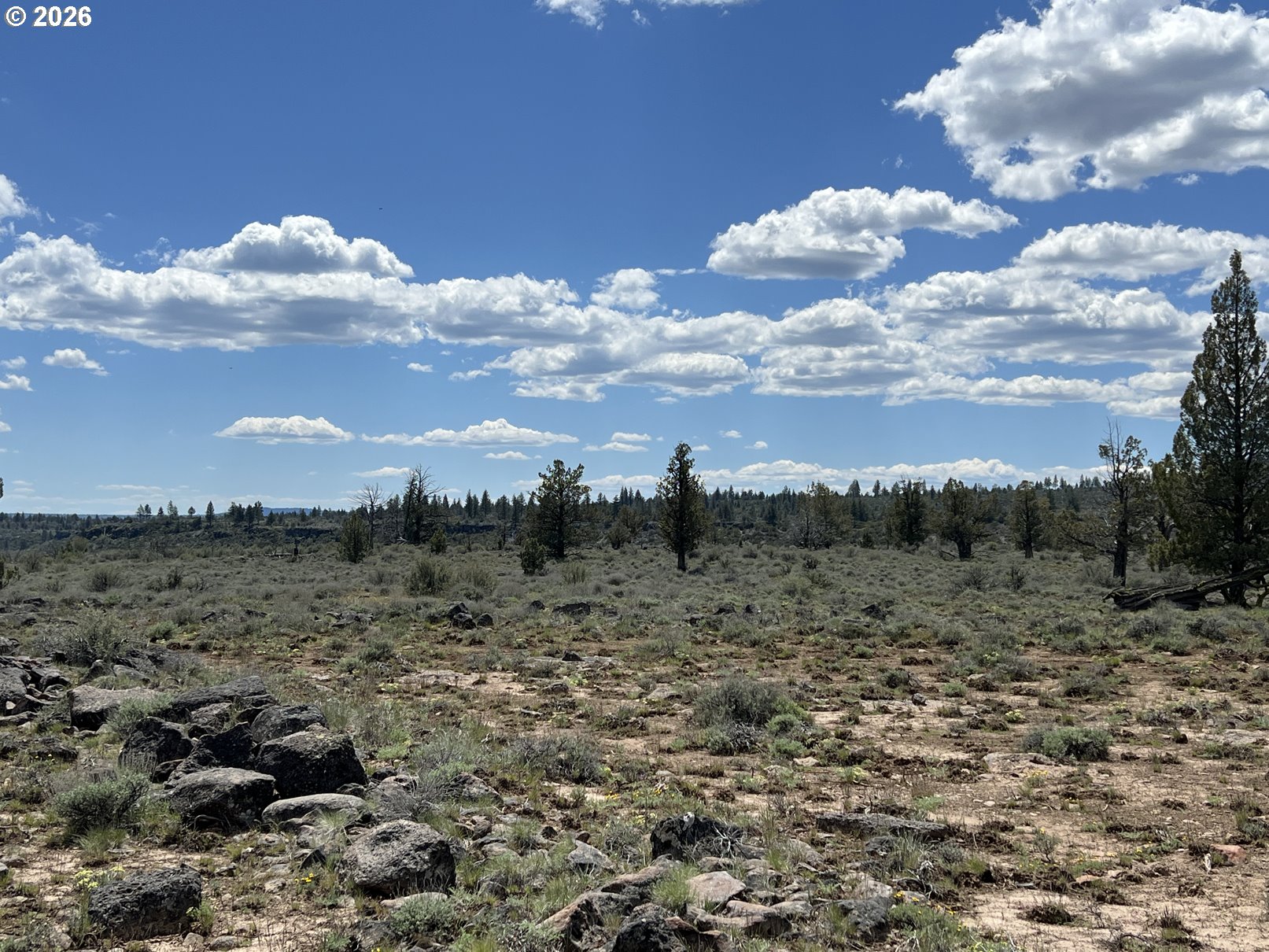 Wildpine Way, Unit 6 Chiloquin, OR 97624 - Photo 7 of 10 a view of a dry yard with wooden fence