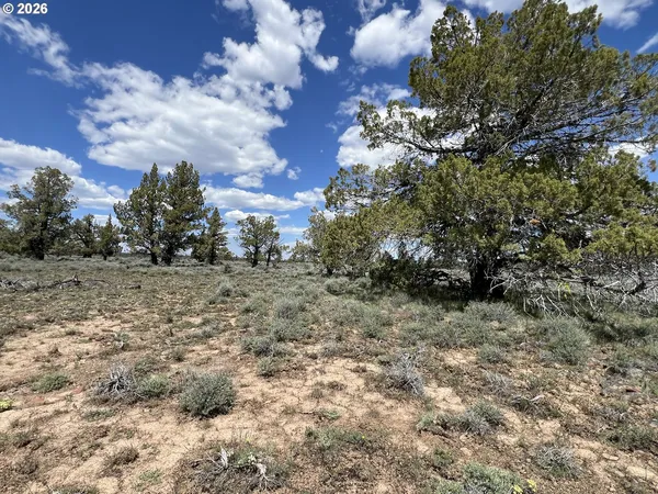 a view of a dry yard with wooden fence