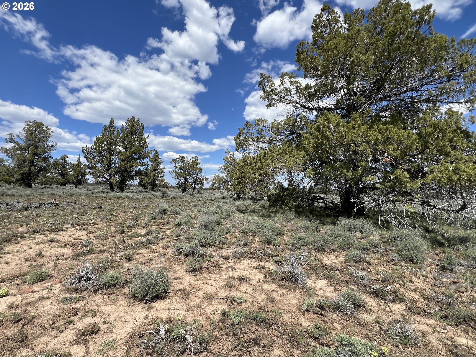 Wildpine Way, Unit 6 Chiloquin, OR 97624 - Photo 8 of 10 a view of a yard with plants and trees