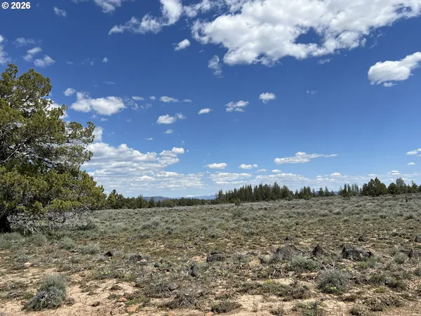 $7,000 | Wildpine Way, Unit 6, Chiloquin, OR 97624