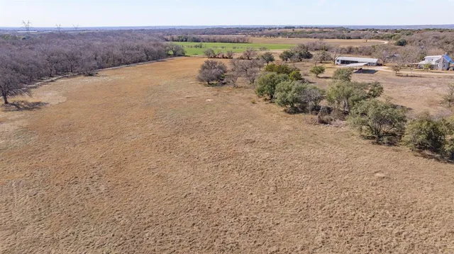 a view of a dry yard with trees