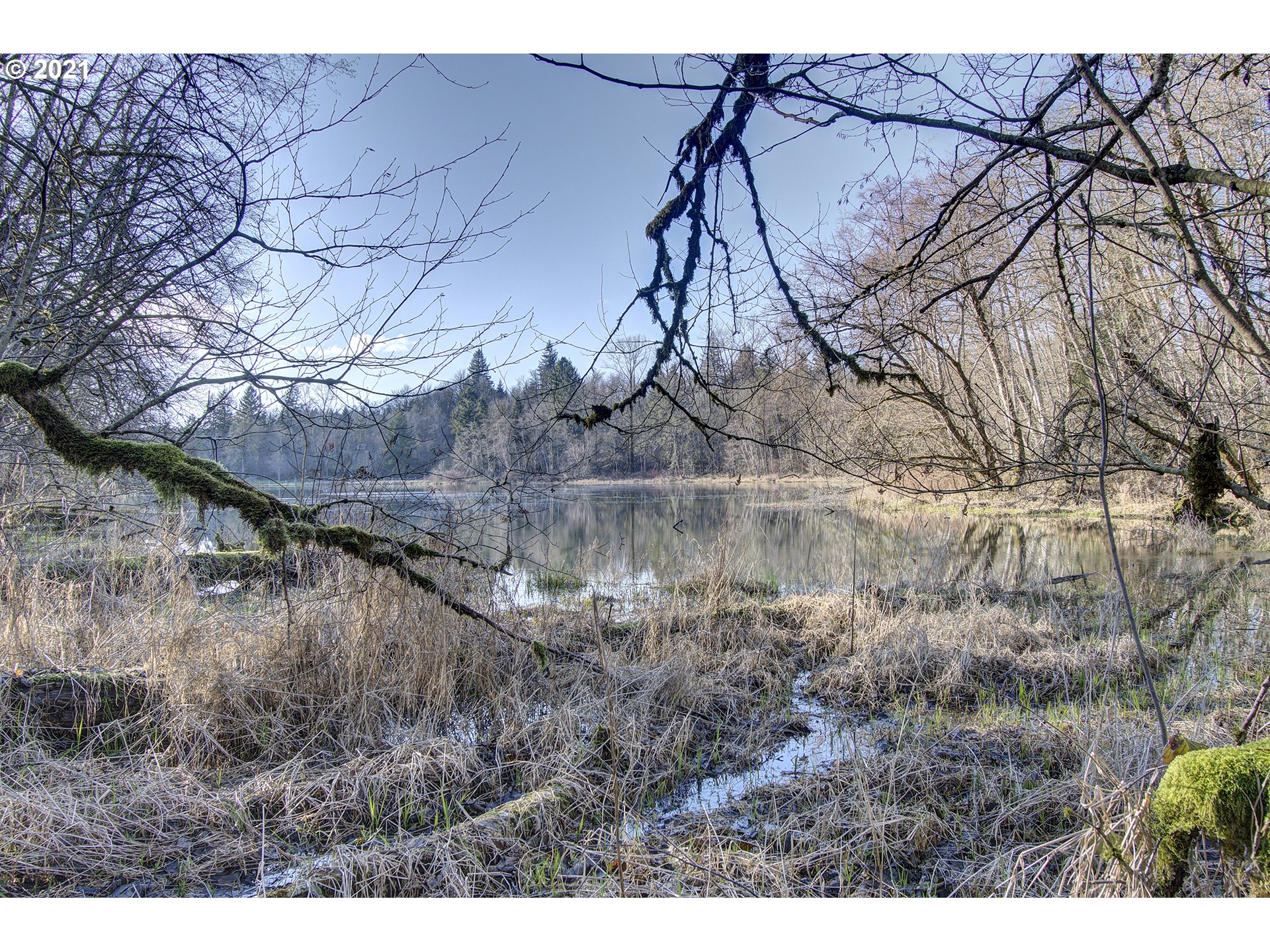 15116 Northeast Grantham Road Amboy, WA 98601 - Photo 27 of 31