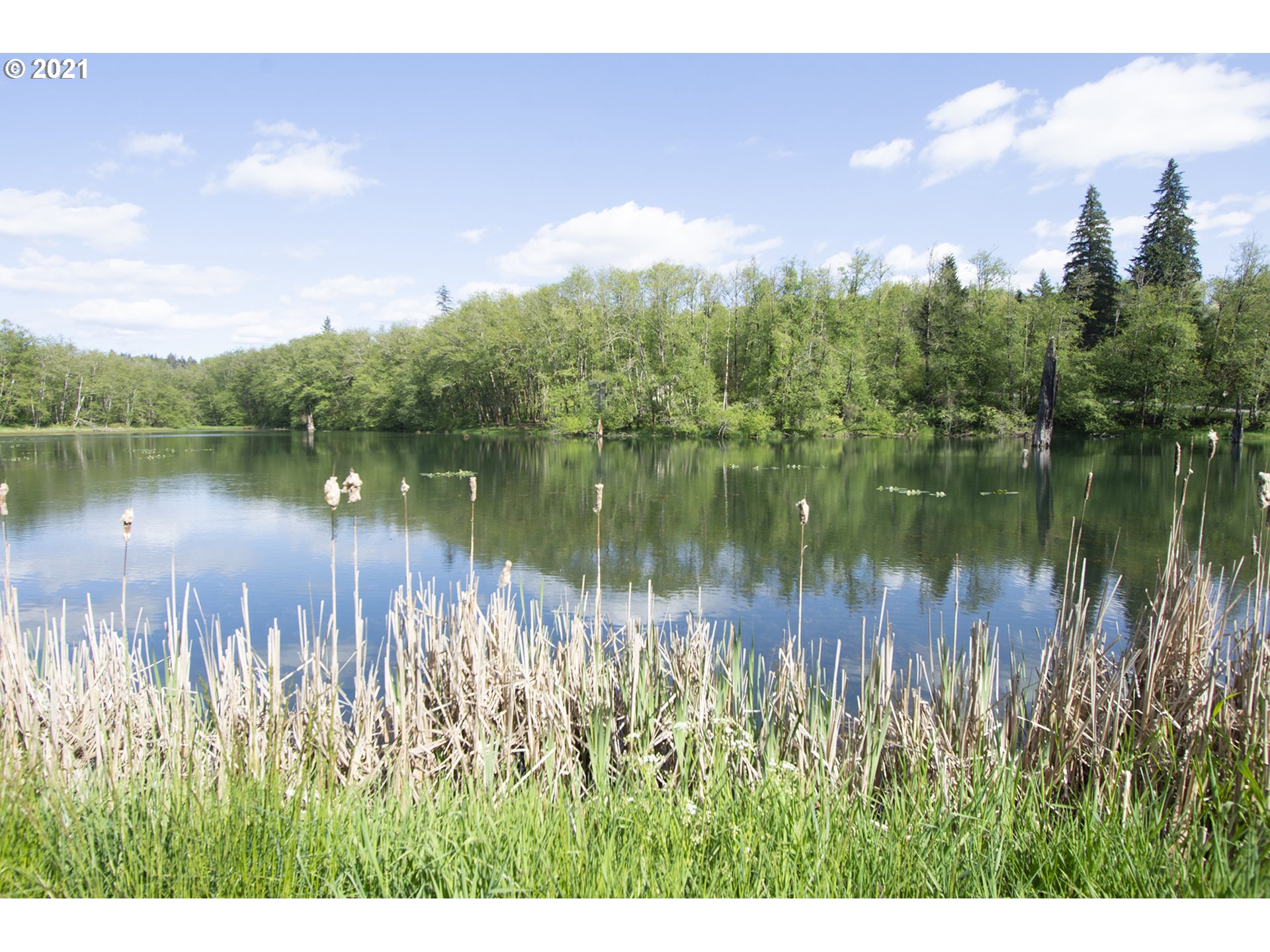 15116 Northeast Grantham Road Amboy, WA 98601 - Photo 28 of 31
