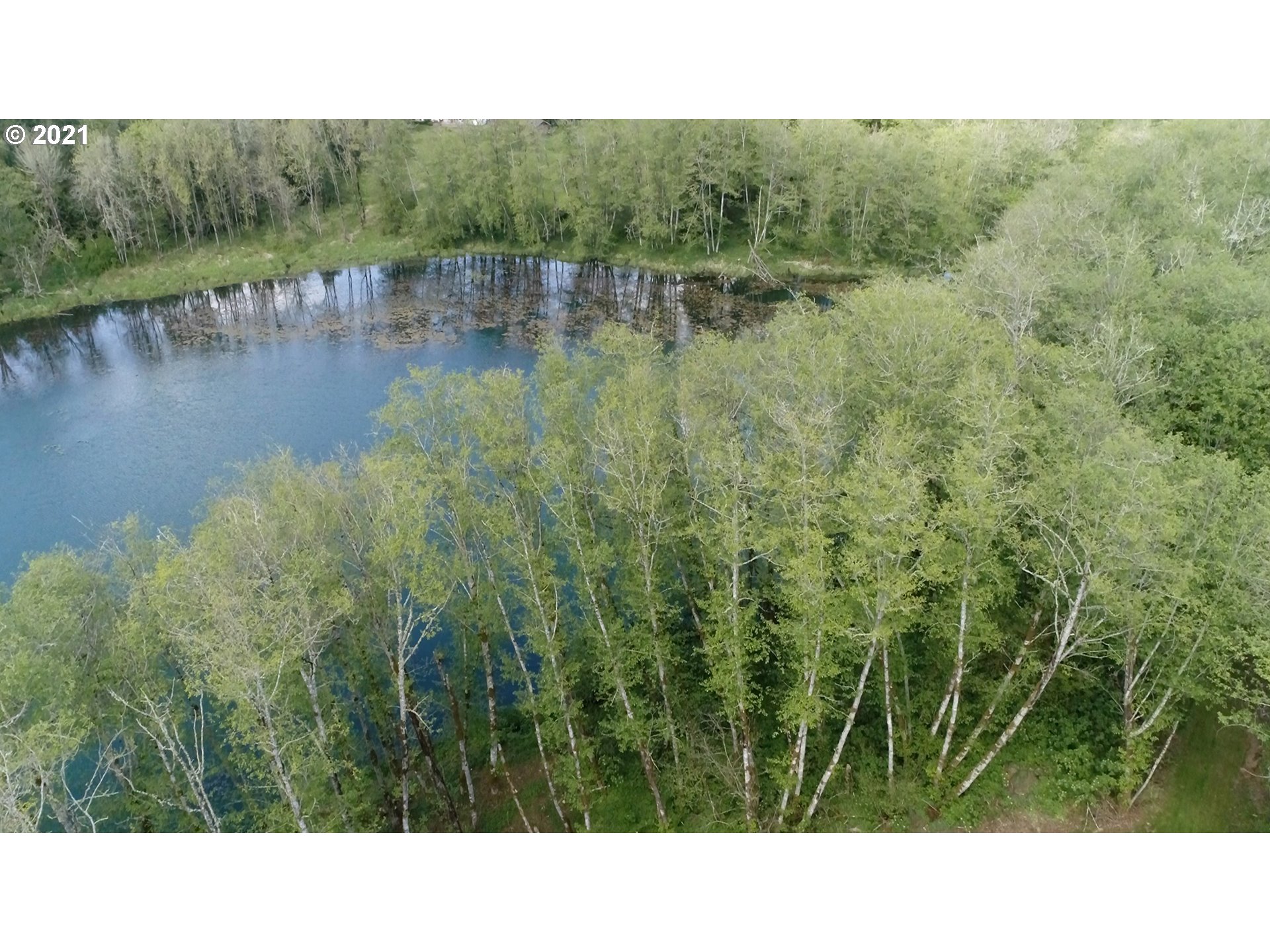 15116 Northeast Grantham Road Amboy, WA 98601 - Photo 30 of 31