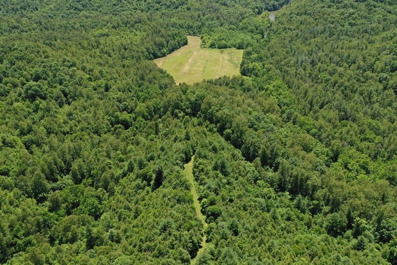 Johnnys Ridge Road Ferrum, VA 24088 - Photo 21 of 49 Gallery Image 21
