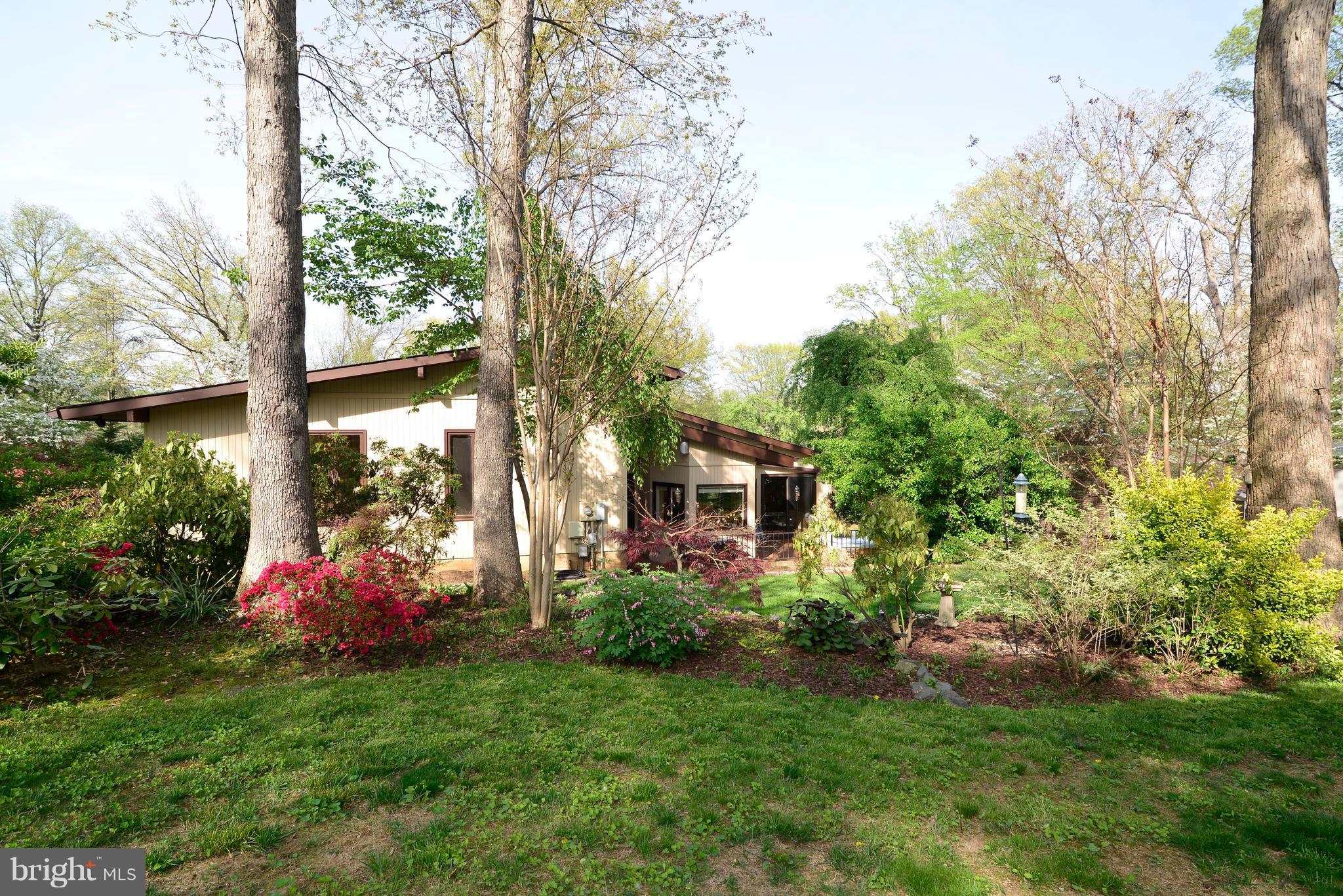 11303 South Shore Road Reston, VA 20190 - Photo 28 of 30 a backyard of a house with lots of green space