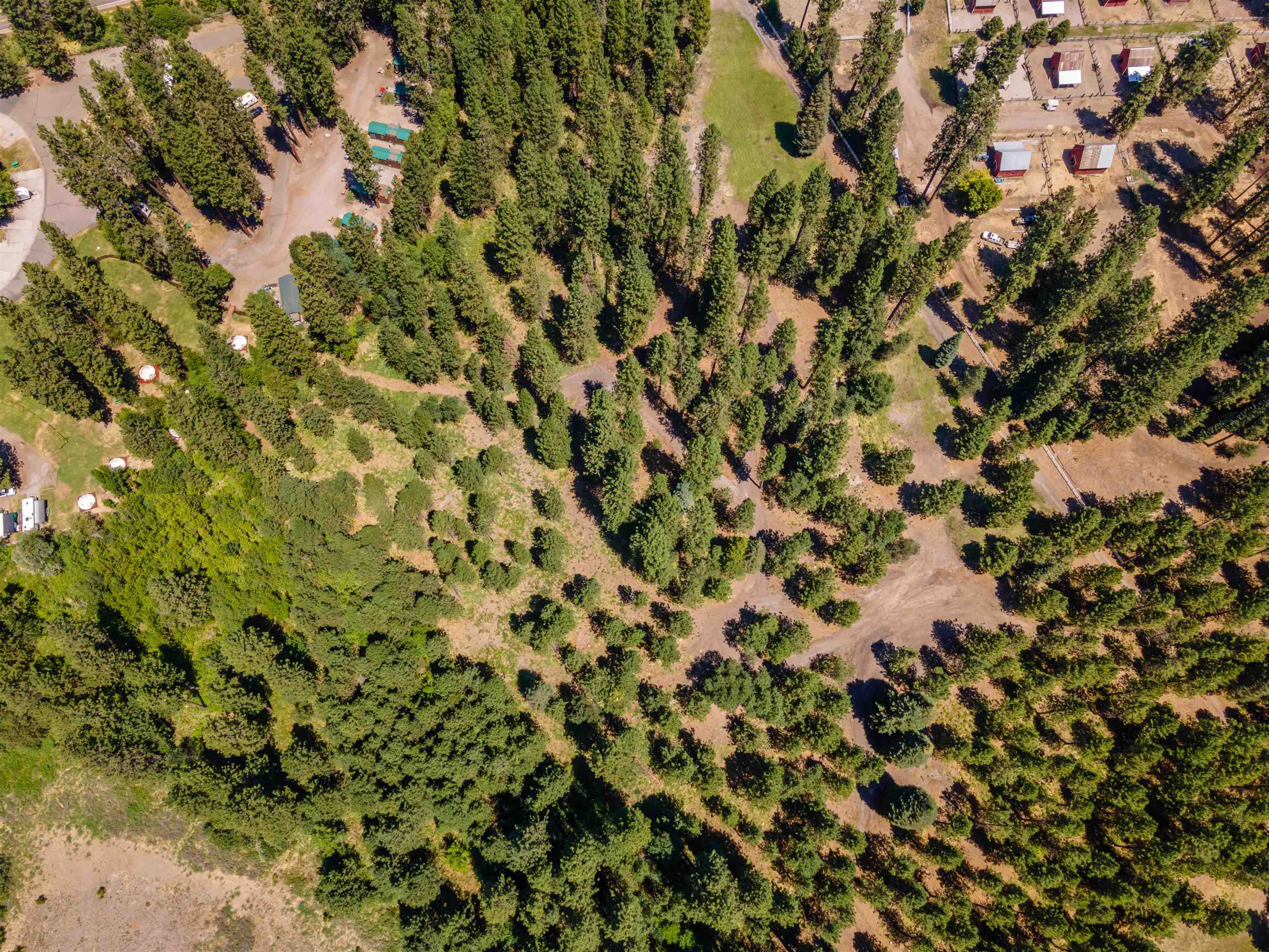 Lot B Red Cloud Rnch Road McCloud, CA 96057 - Photo 11 of 18 Gallery Image 11