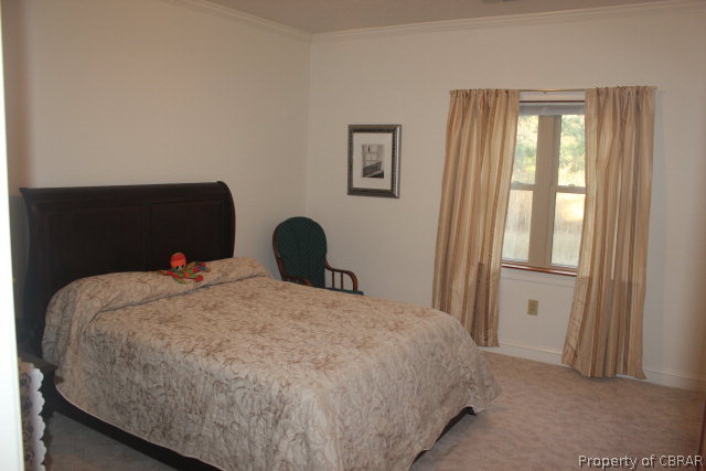 308 Marina Road Foster, VA 23056 - Photo 30 of 46