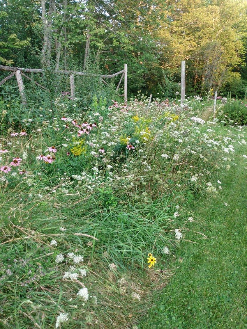497 Hartland Road Athens, ME 04912 - Photo 10 of 20 image000001 2
