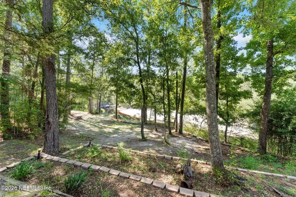 a view of a city with lush green forest