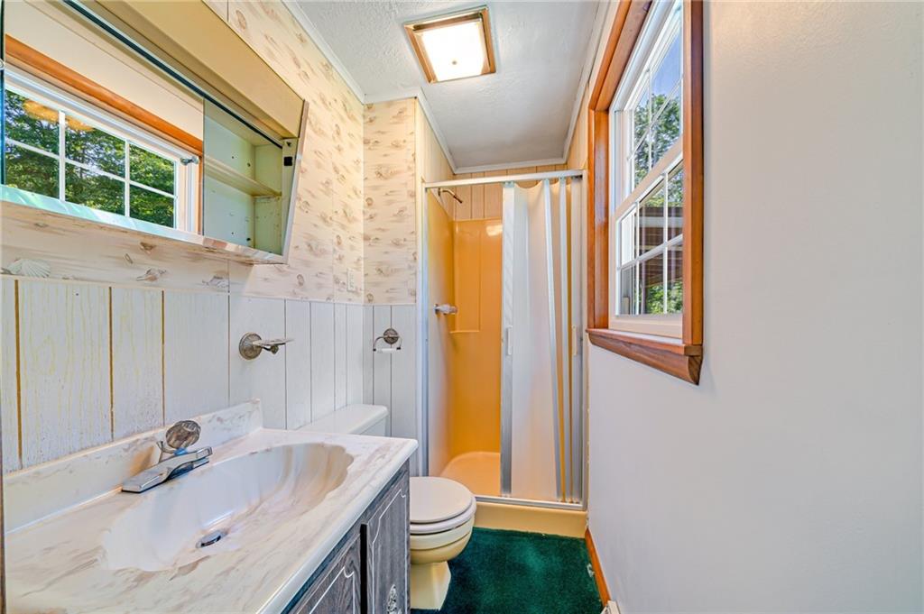 1124 Hemlock Road Indiana, PA 15701 - Photo 19 of 29 a bathroom with a sink toilet and shower