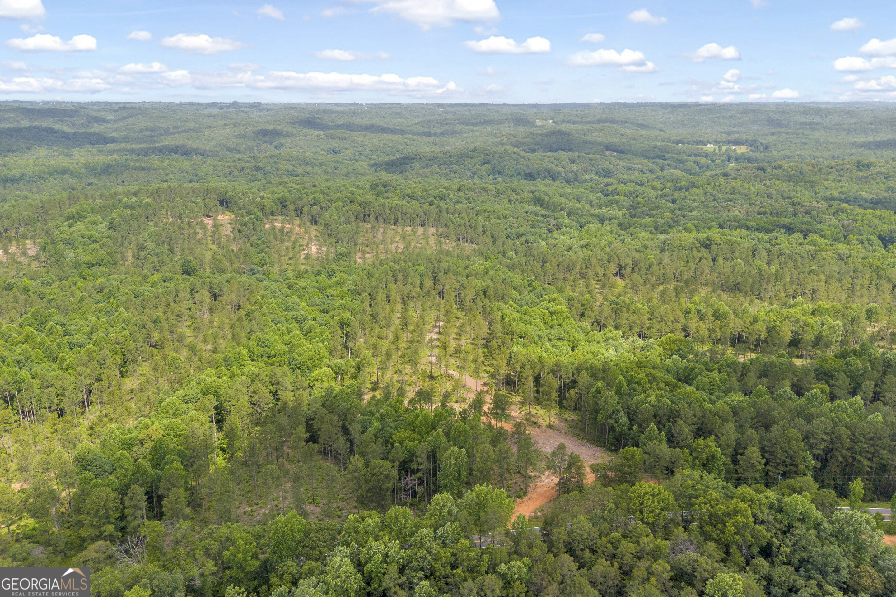 0 Mt Sinai Road, Unit LOT 1 Lula, GA 30554 - Photo 19 of 67