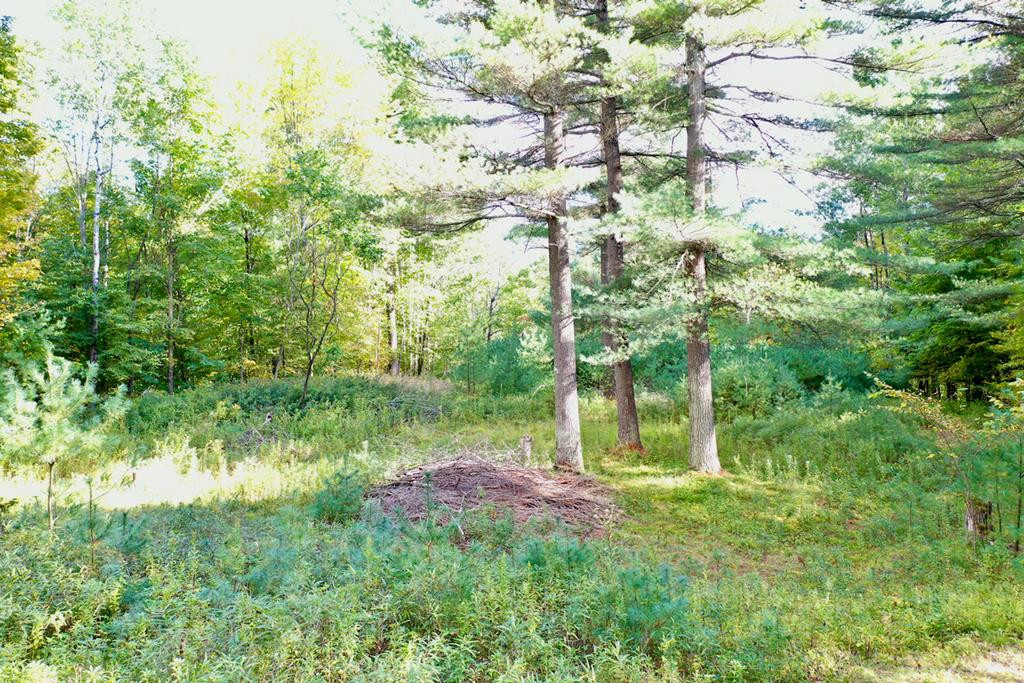 0 Nys Rt 9n Jay, NY 12941 - Photo 12 of 12 Gallery Image 12