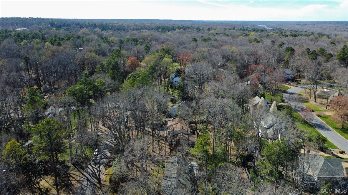 10240 Apache Road Richmond, VA 23235 - Photo 41 of 45 a view of a lush green forest with trees and some houses