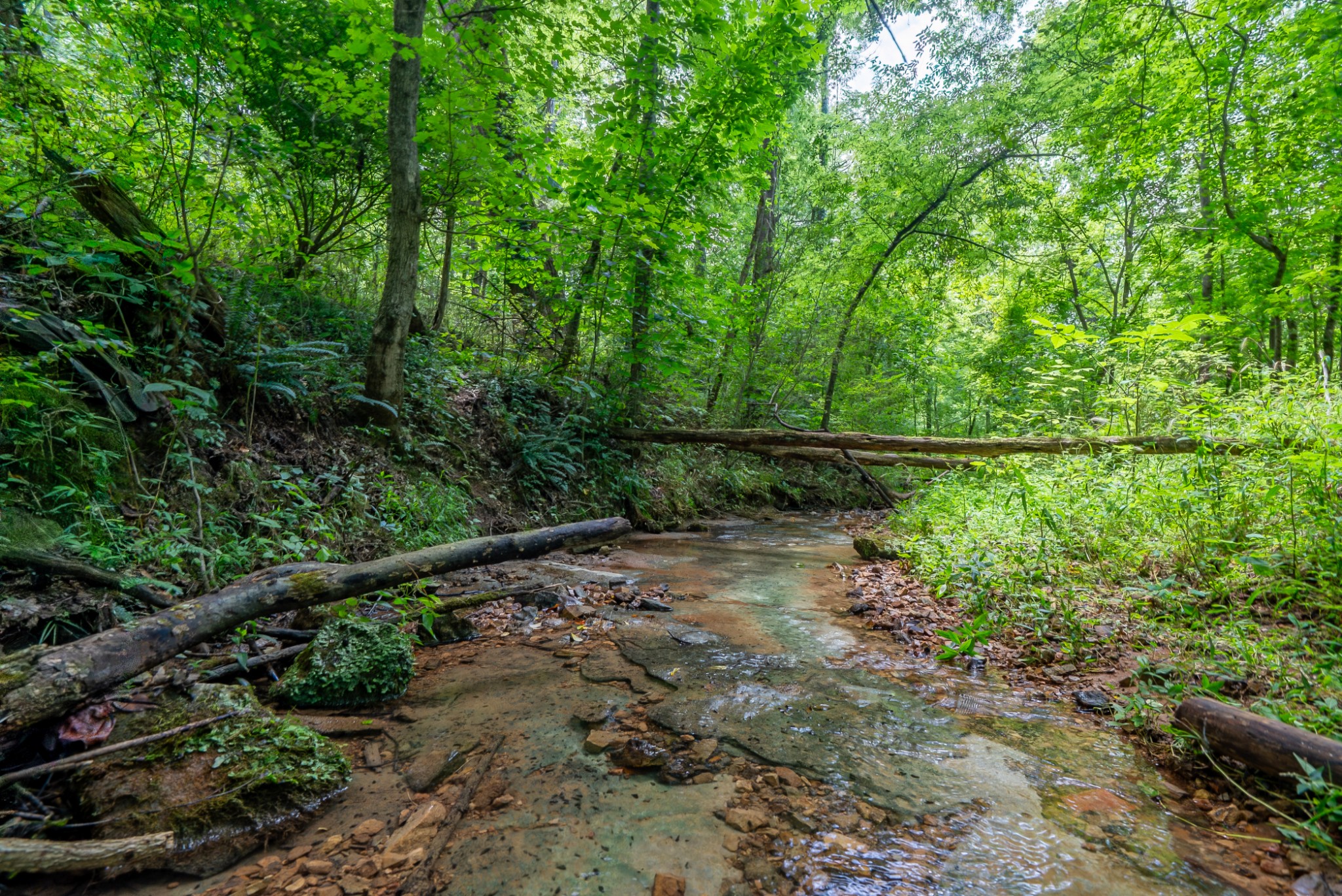 0 Bethlehem Road Springfield, TN 37172 - Photo 1 of 41 Gallery Image 1