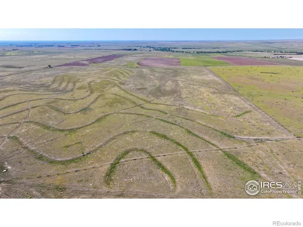 a black and white photo of a beach
