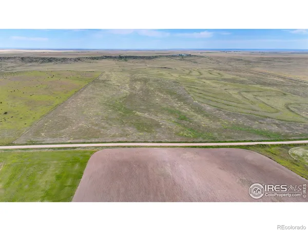a black and white photo of a lake