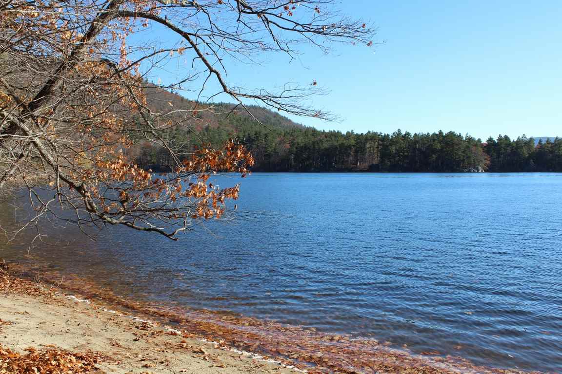 0 Barnes Road Holderness, NH 03245 - Photo 33 of 40