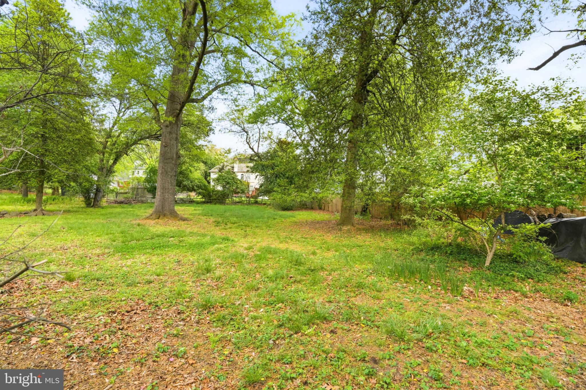 Parkman Road Silver Spring, MD 20903 - Photo 9 of 10 Gallery Image 9