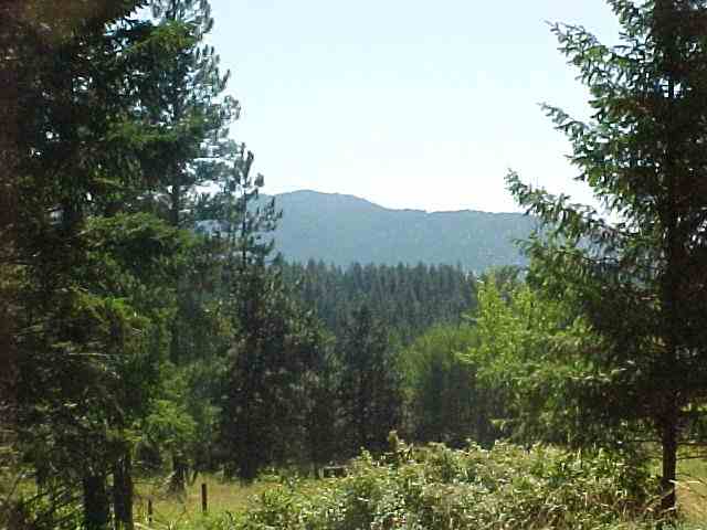 935 B Philpott Road Colville, WA 99114 - Photo 1 of 9