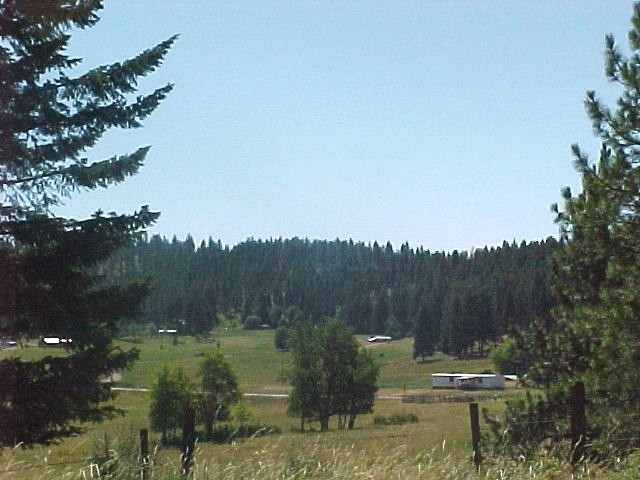 935 B Philpott Road Colville, WA 99114 - Photo 2 of 9