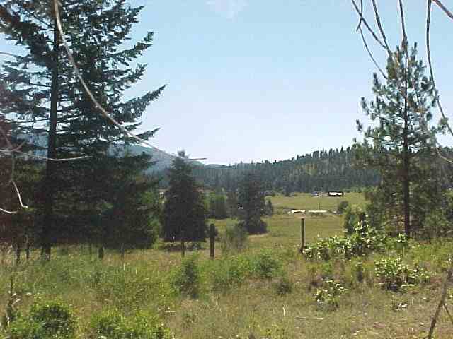 935 B Philpott Road Colville, WA 99114 - Photo 3 of 9