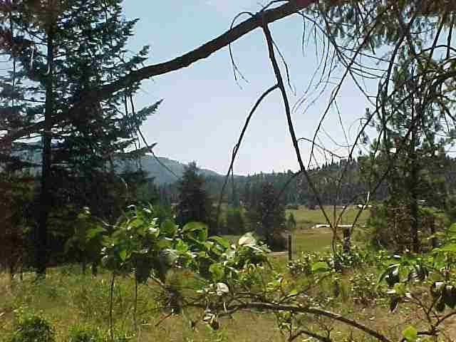 935 B Philpott Road Colville, WA 99114 - Photo 4 of 9