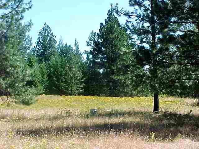 935 B Philpott Road Colville, WA 99114 - Photo 6 of 9