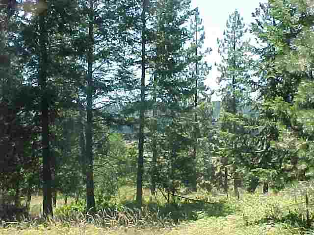 935 B Philpott Road Colville, WA 99114 - Photo 7 of 9