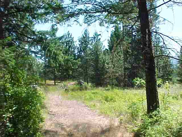 935 B Philpott Road Colville, WA 99114 - Photo 8 of 9