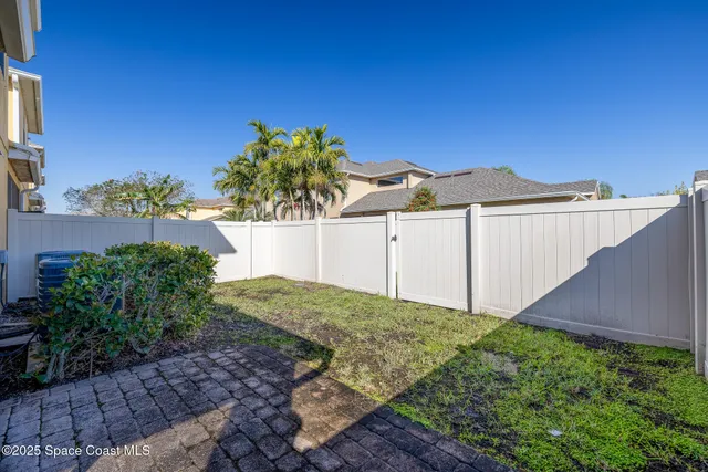 a view of a backyard with plants and a large tree