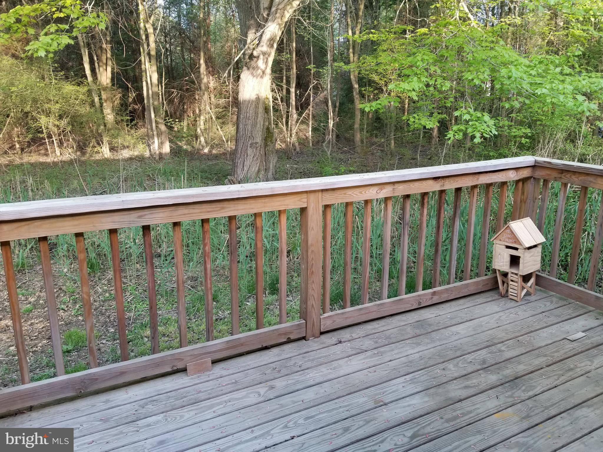 10776 Fermoy Road Chestertown, MD 21620 - Photo 5 of 12 View