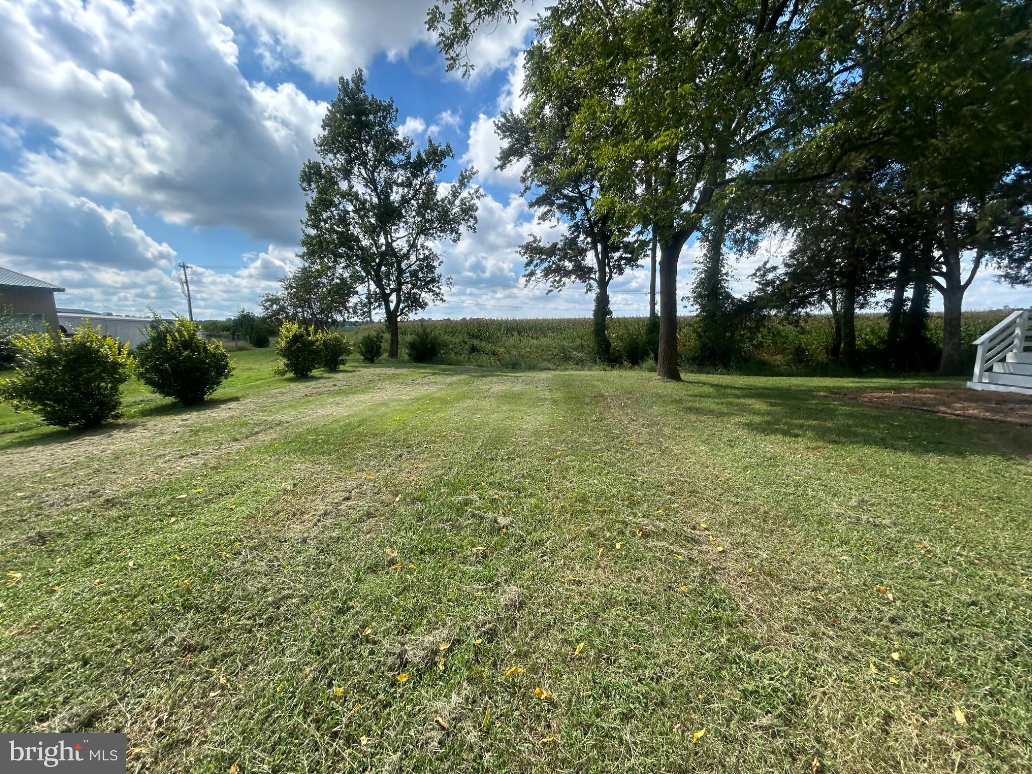 3520 Goldsboro Road Henderson, MD 21640 - Photo 4 of 8 Left Side Yard