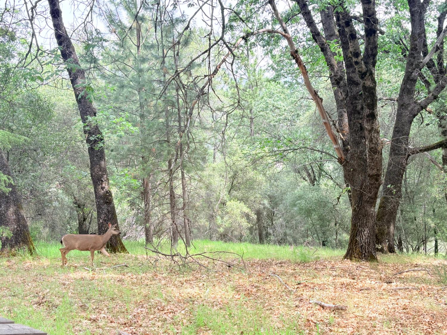 12063 Woodacre Road Grass Valley, CA 95949 - Photo 73 of 73