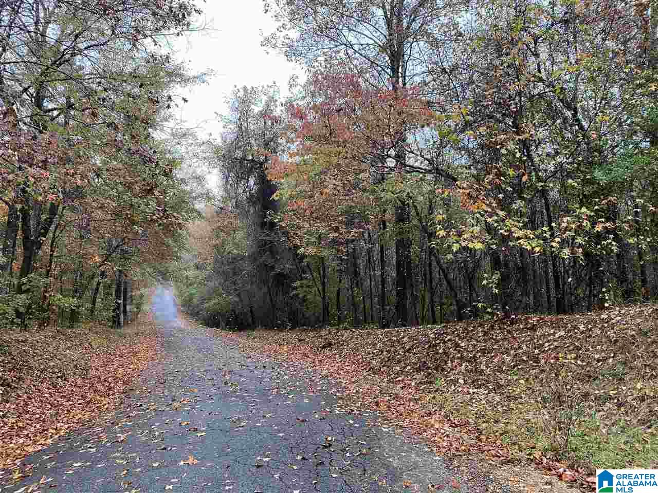 6650 G & H Road, Unit 5 000 Bessemer, AL 35022 - Photo 1 of 1