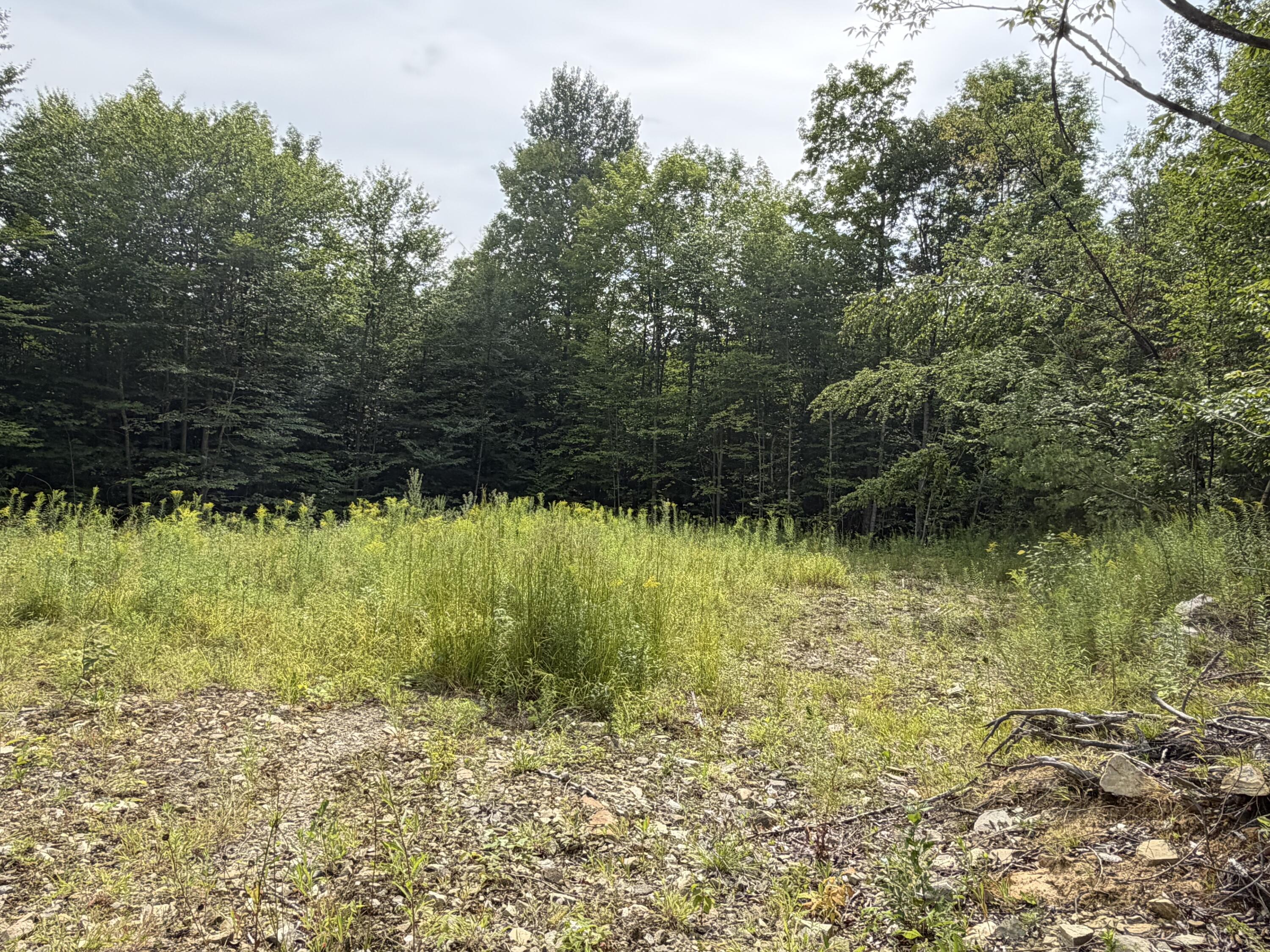 Lot 60-116 Plaisted Road Jay, ME 04239 - Photo 5 of 9 Plaisted Rd 7