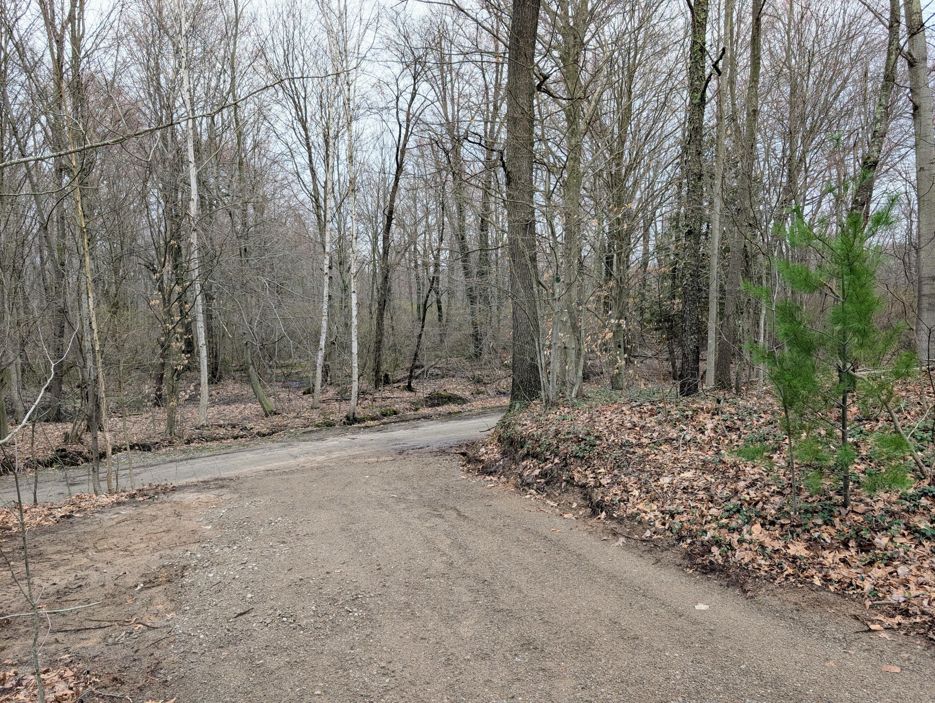 V/l North Weber Road Muskegon, MI 49445 - Photo 9 of 16 1000016493