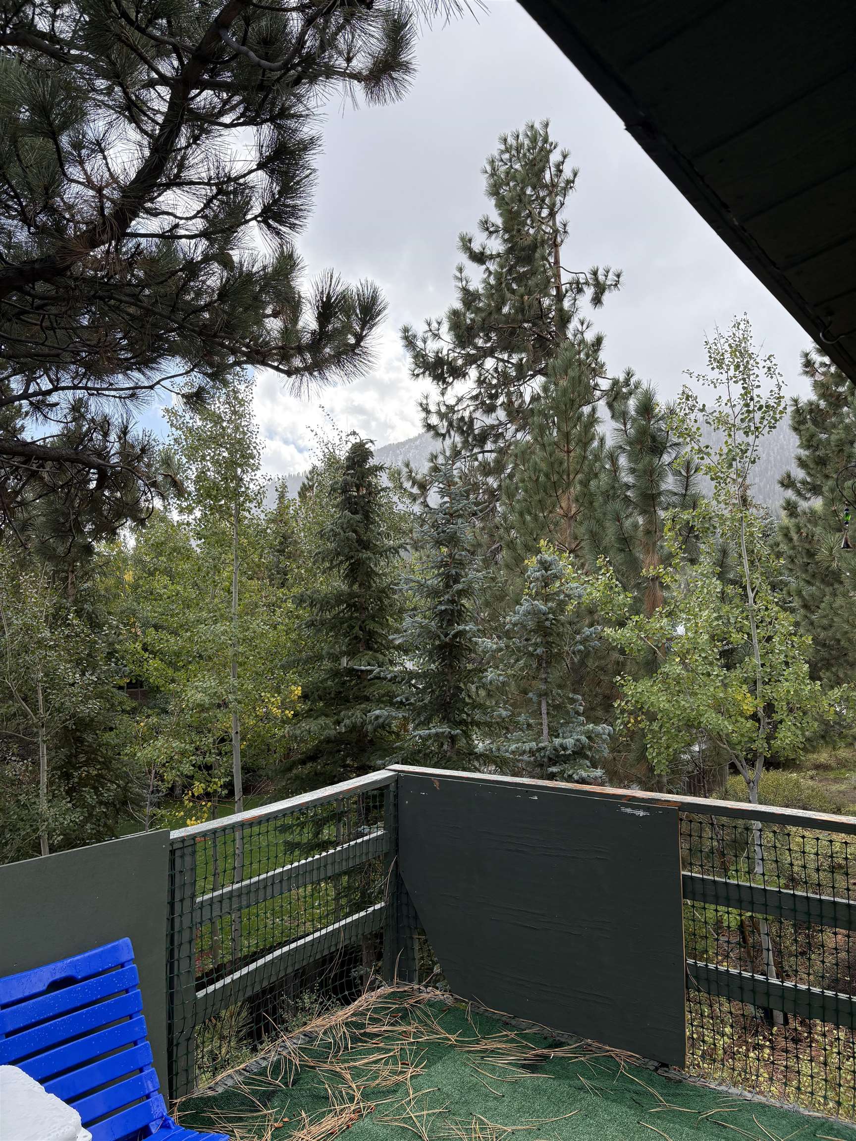 100 Ski Trails Road Mammoth Lakes, CA 93546 - Photo 7 of 30