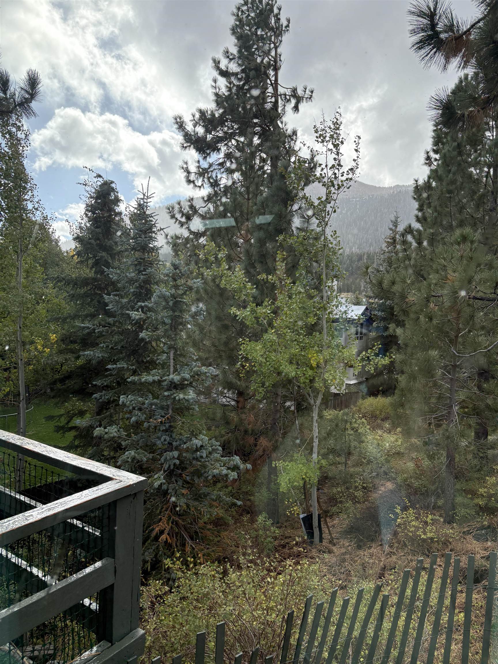 100 Ski Trails Road Mammoth Lakes, CA 93546 - Photo 8 of 30