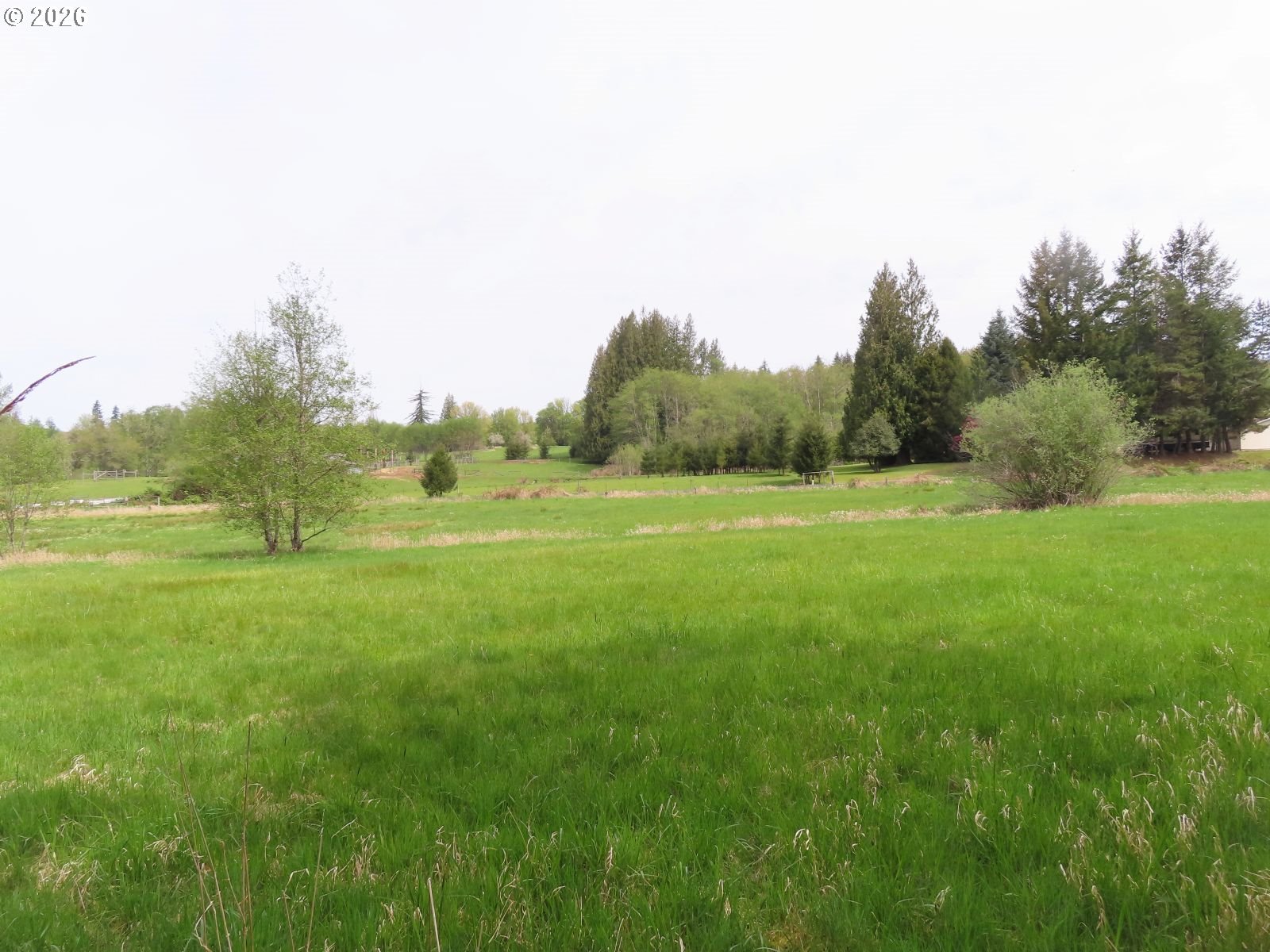 Hagen Road Mossyrock, WA 98564 - Photo 13 of 29