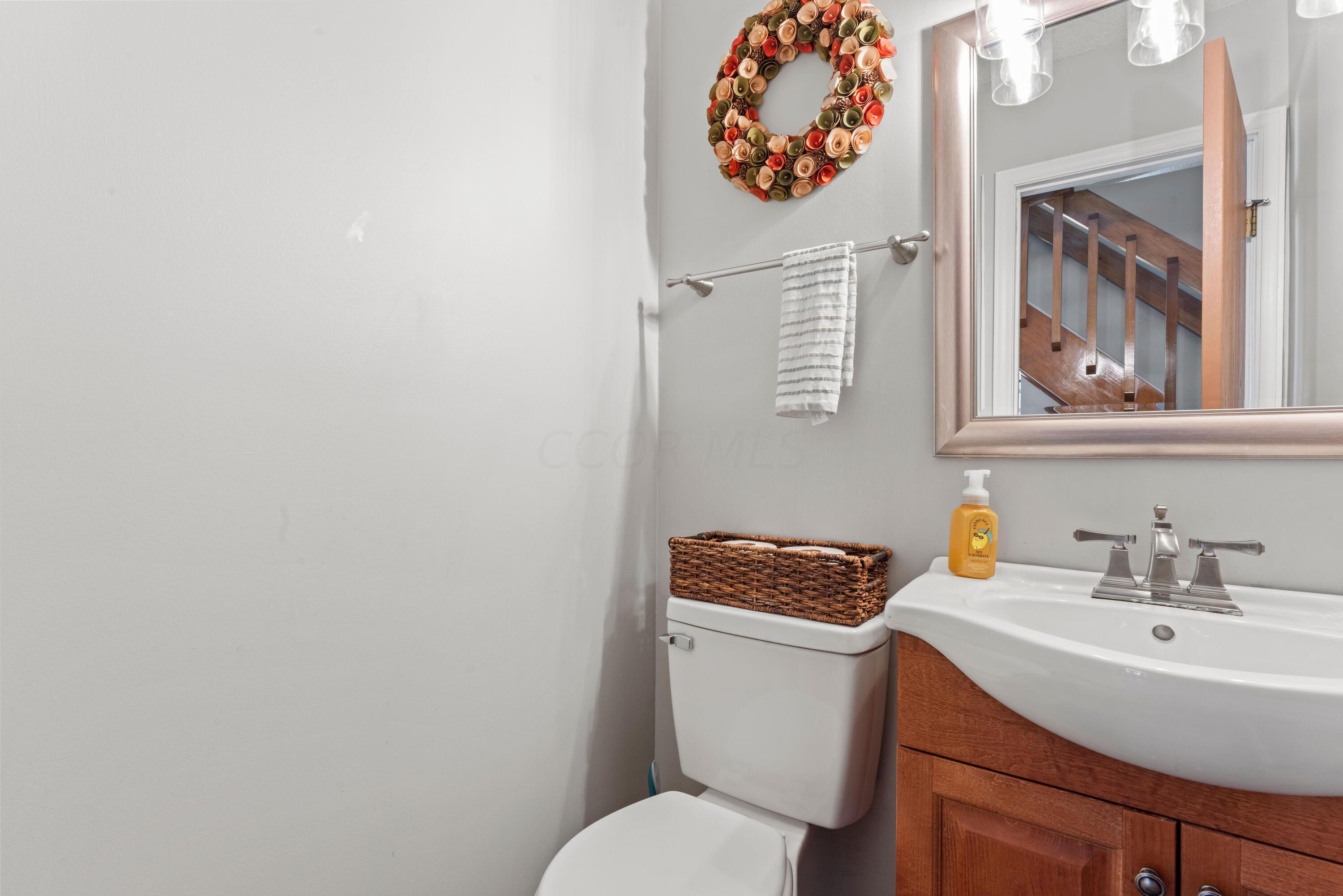 3406 Reed Point Drive Hilliard, OH 43026 - Photo 11 of 23 DSC09087