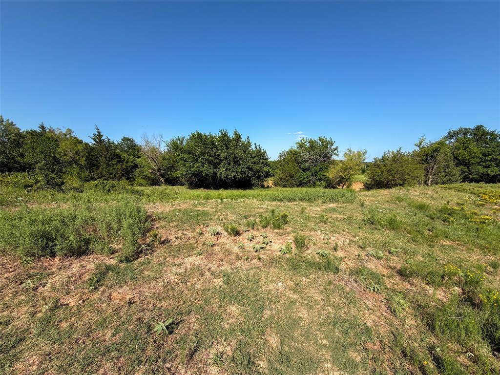 Tbd Carminati Road Montague, TX 76251 - Photo 19 of 32