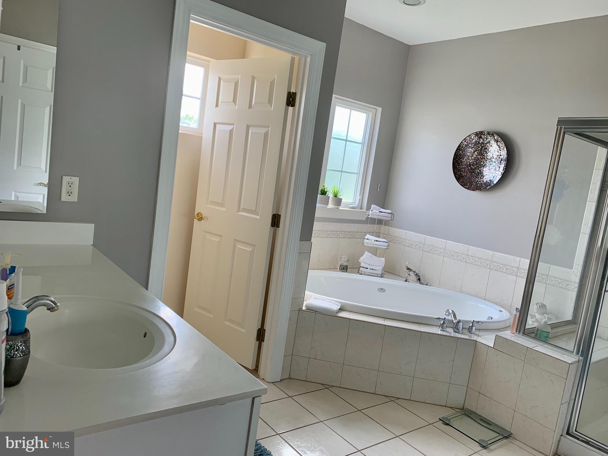 314 Powell Circle Berlin, MD 21811 - Photo 11 of 20 Master Bath