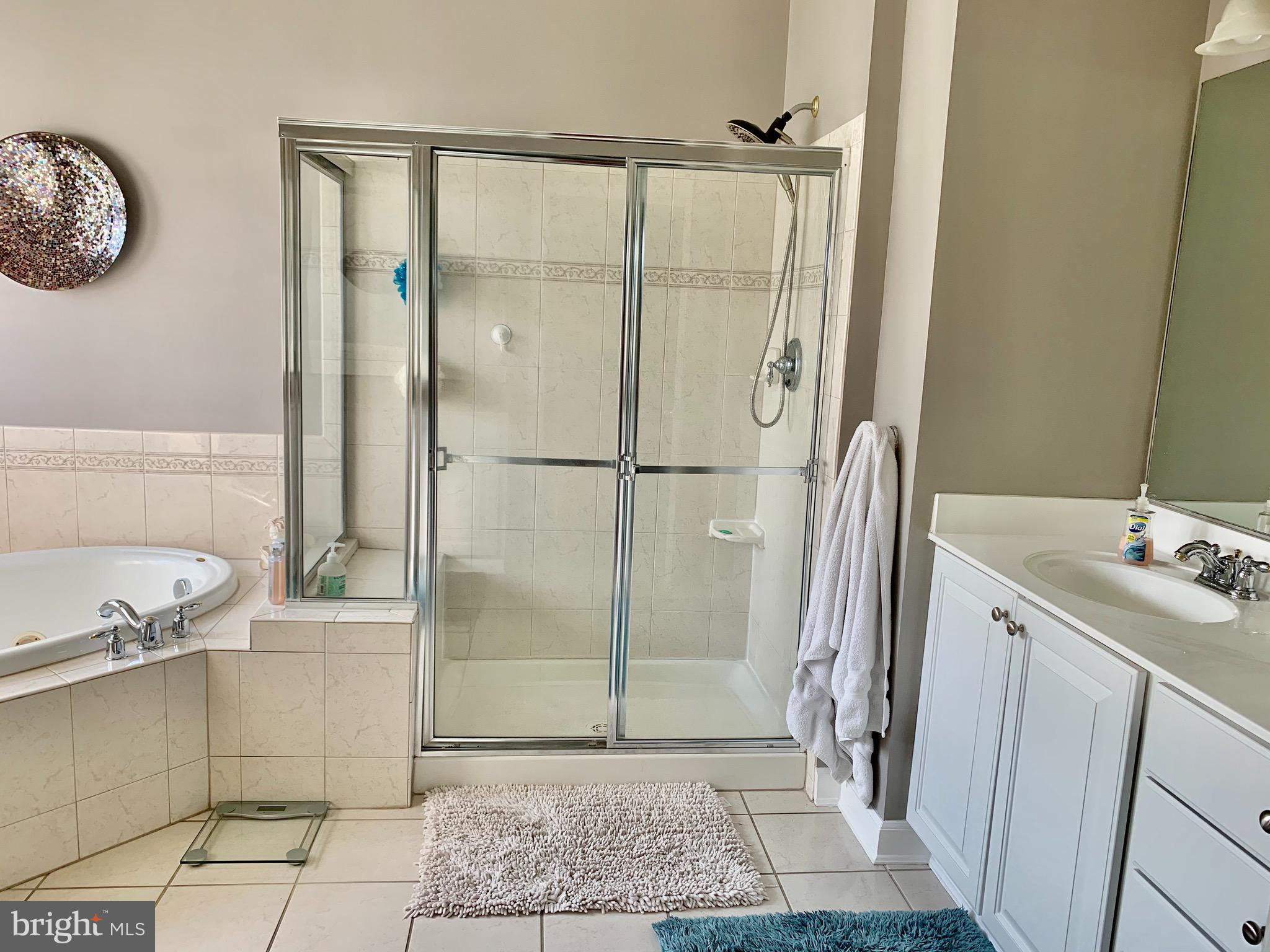 314 Powell Circle Berlin, MD 21811 - Photo 10 of 20 1st Floor MasterBath