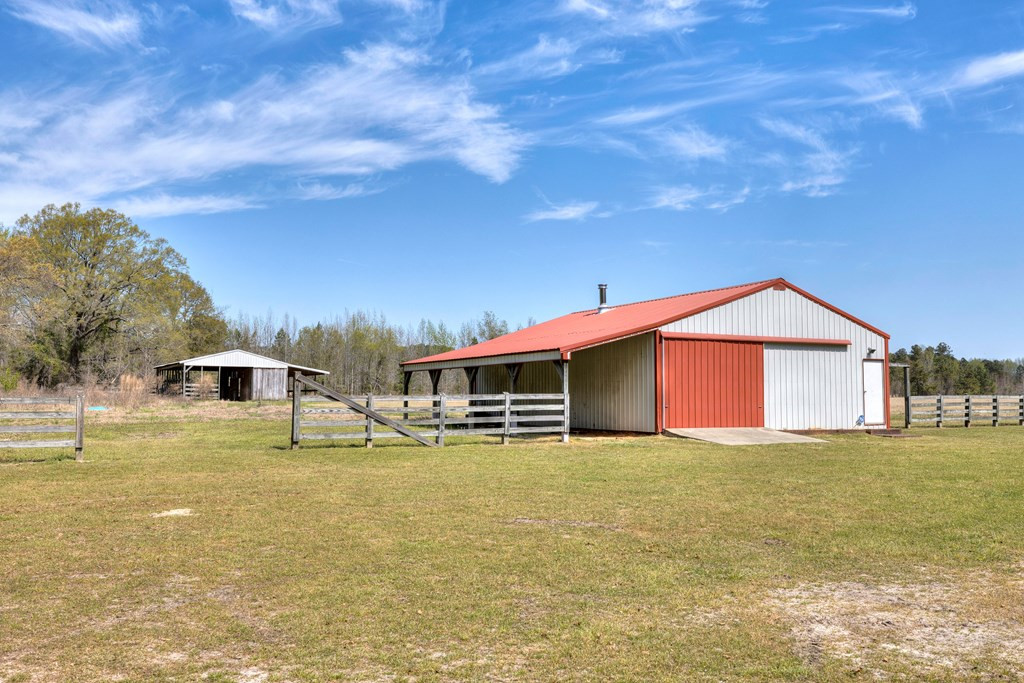 3795 Bart Davis Road Alcolu, SC 29001 - Photo 24 of 81
