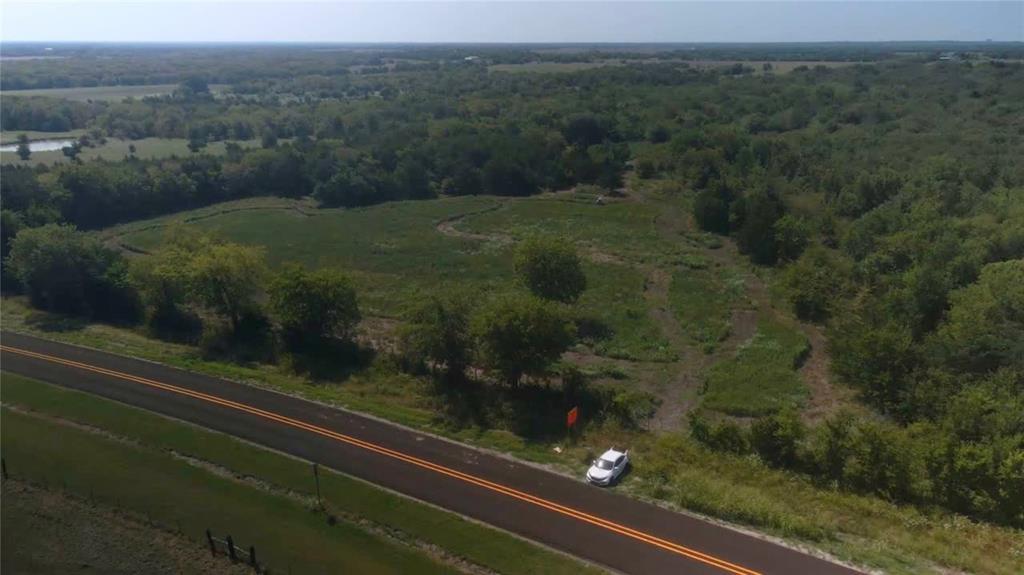 a view of a yard from a window