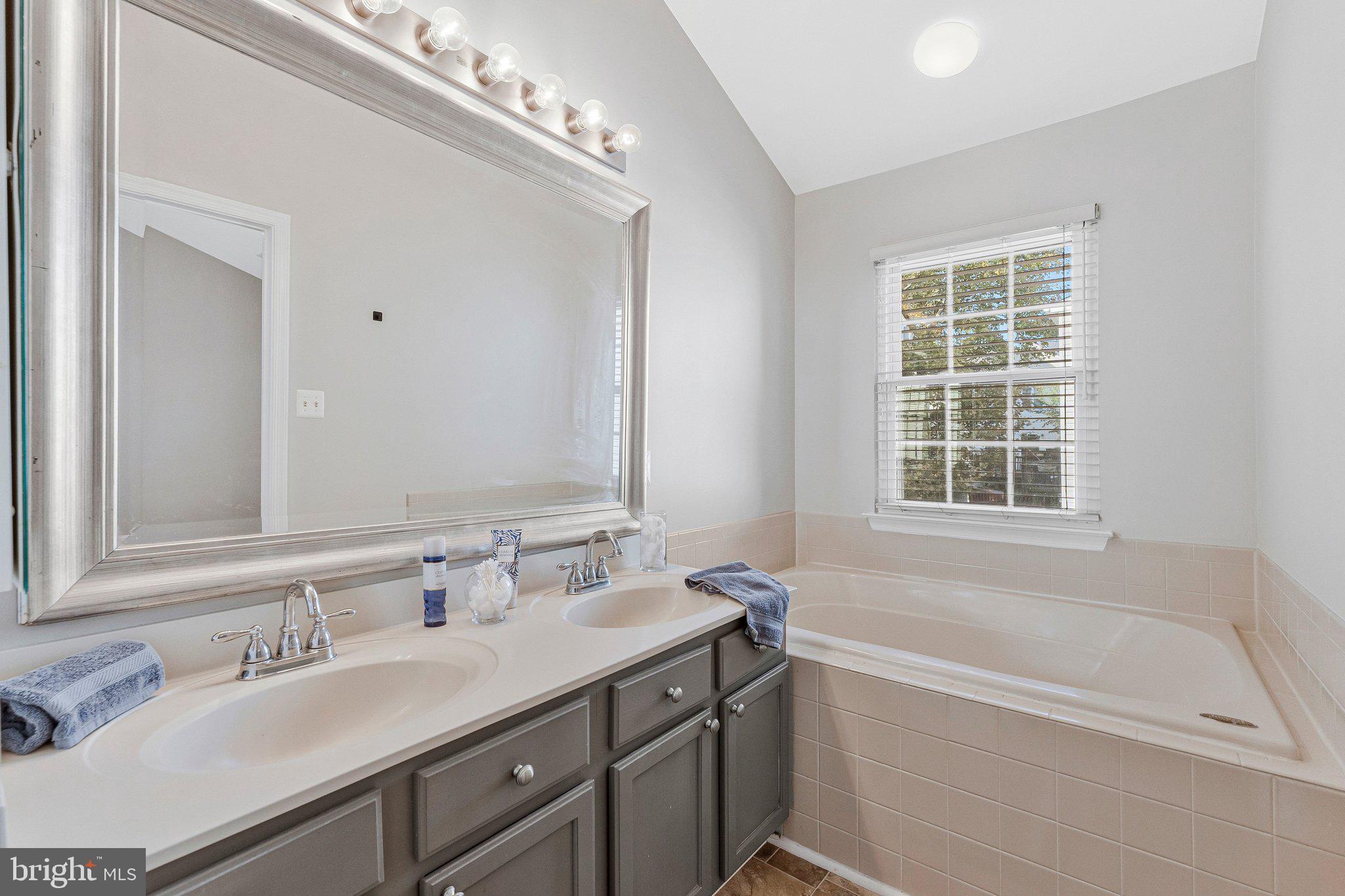 22011 Box Car Square Sterling, VA 20166 - Photo 23 of 45 Primary Bath with Soaking Tub